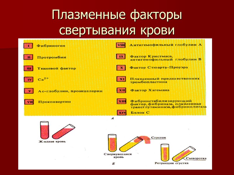 Плазменные факторы свертывания крови